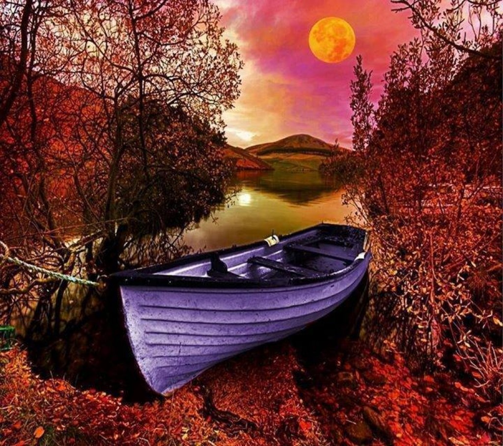 sunset boat jigsaw puzzle in Patricia Haller puzzles on TheJigsawPuzzles.com