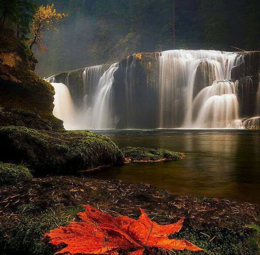 awesome waterfall jigsaw puzzle in Patricia Haller puzzles on TheJigsawPuzzles.com