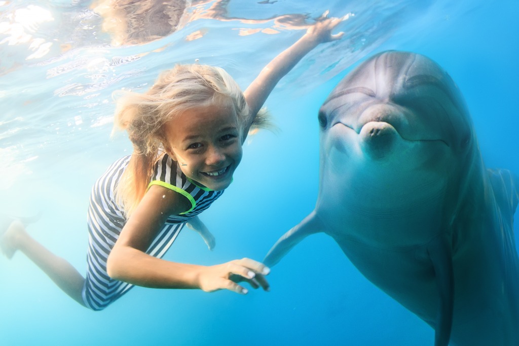 Diving with Dolphins jigsaw puzzle in Animals puzzles on TheJigsawPuzzles.com