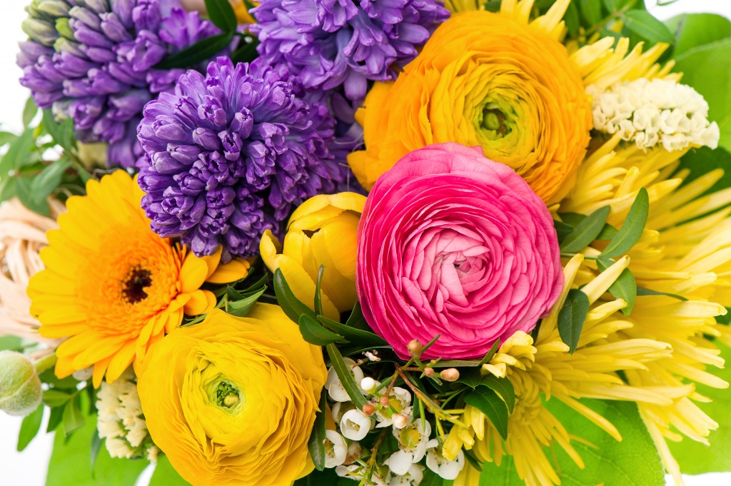 Bouquet of Ranunculus, Hyacinth and Gerber jigsaw puzzle in Flowers puzzles on TheJigsawPuzzles.com