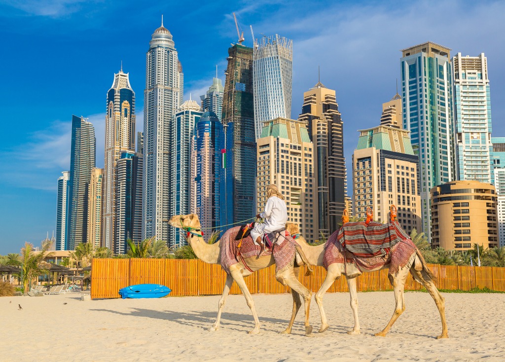 Un chameau en face de la Marina de Dubai jigsaw puzzle in Animaux puzzles on TheJigsawPuzzles.com