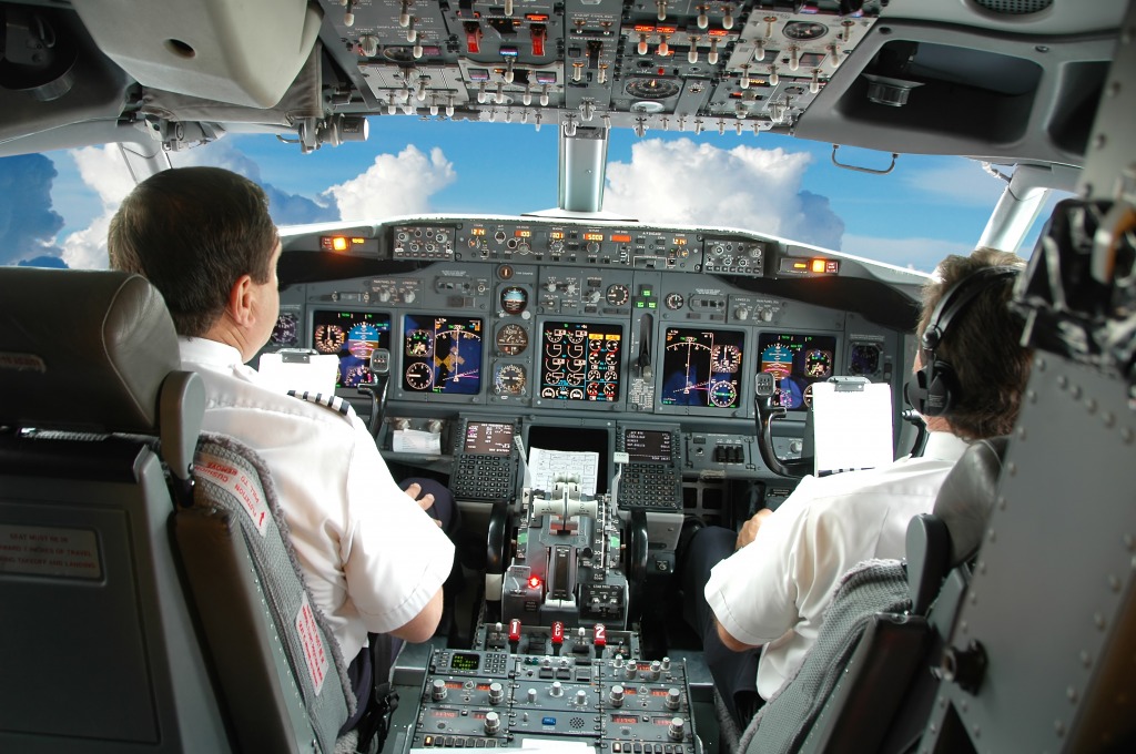 Pilots in the Cockpit jigsaw puzzle in Aviation puzzles on TheJigsawPuzzles.com