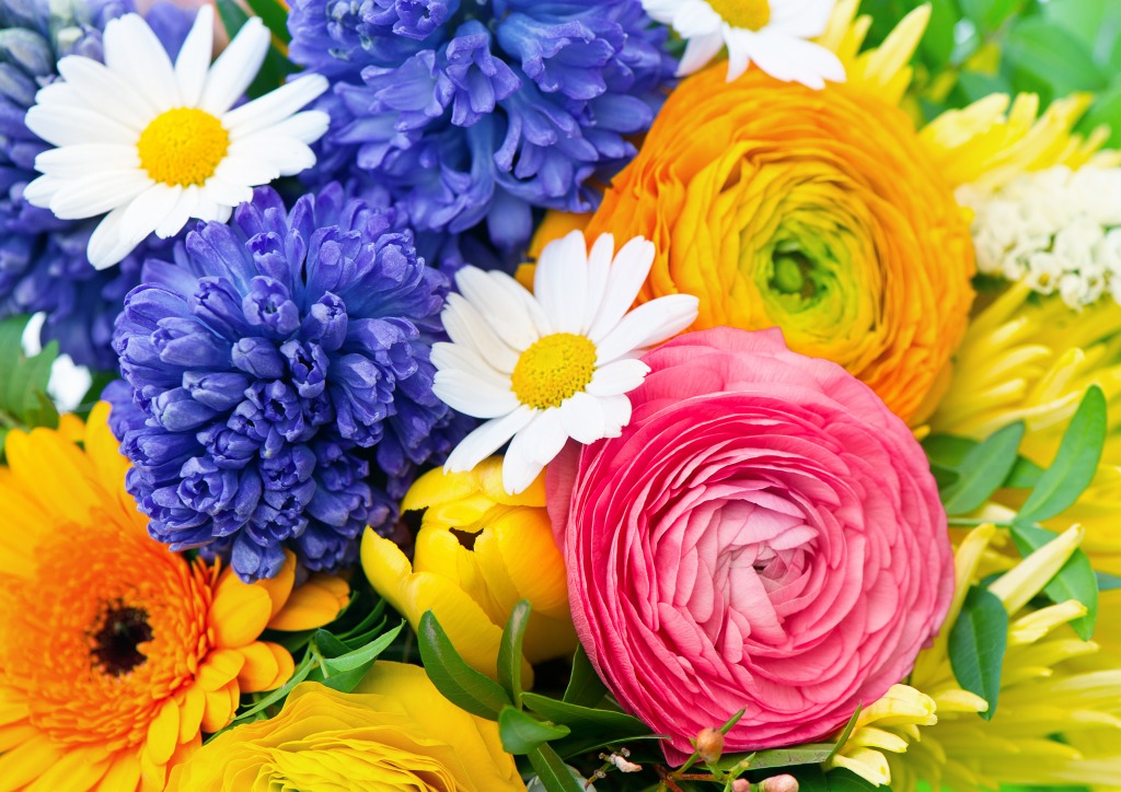 Ranunculus, Hyacinth, Daisy and Gerber jigsaw puzzle in Flowers puzzles on TheJigsawPuzzles.com