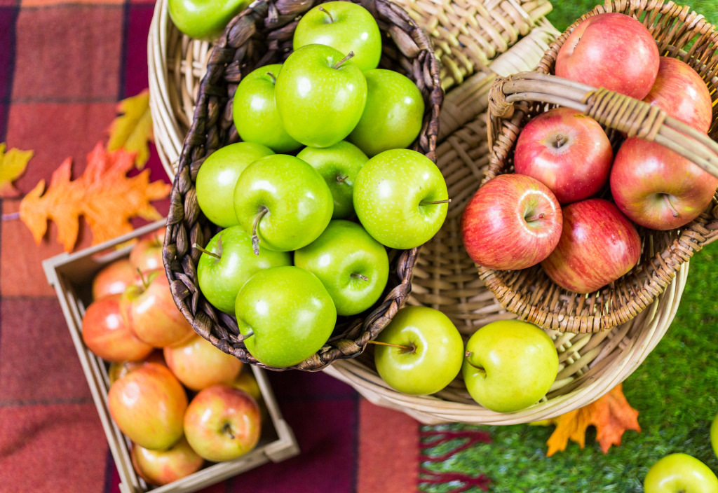 Свежесобранные яблоки с фермы jigsaw puzzle in Фрукты и Овощи puzzles on TheJigsawPuzzles.com