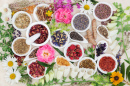 Flower and Herb Selection