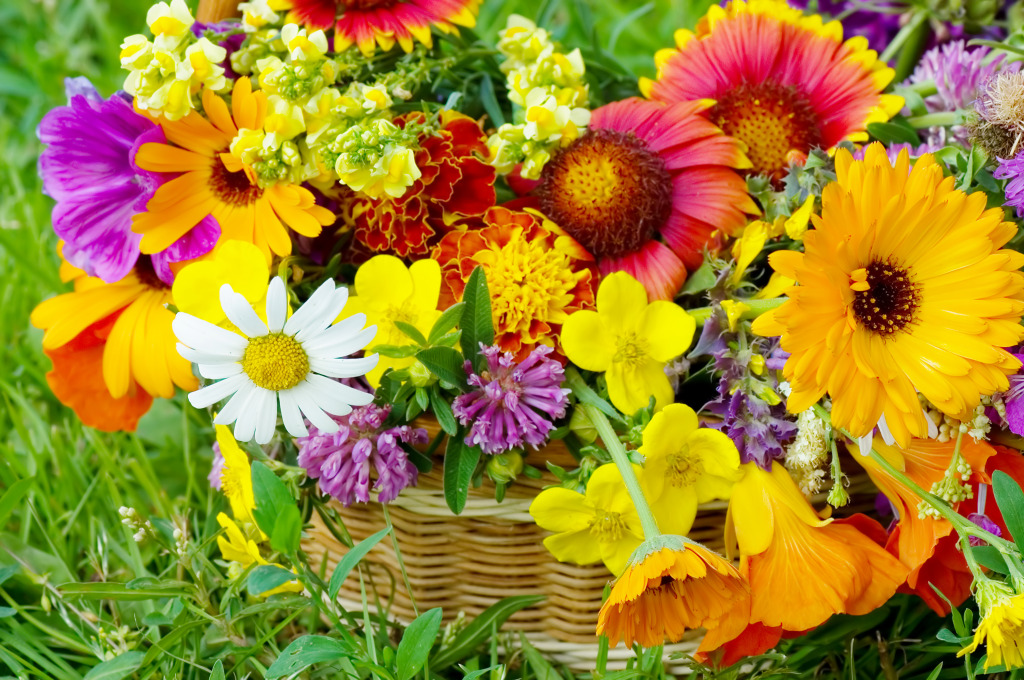 Beautiful Flowers in a Basket jigsaw puzzle in Flowers puzzles on TheJigsawPuzzles.com