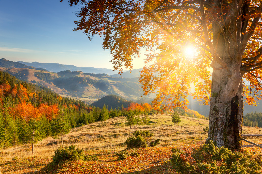 Early Autumn Morning jigsaw puzzle in Puzzle of the Day puzzles on TheJigsawPuzzles.com