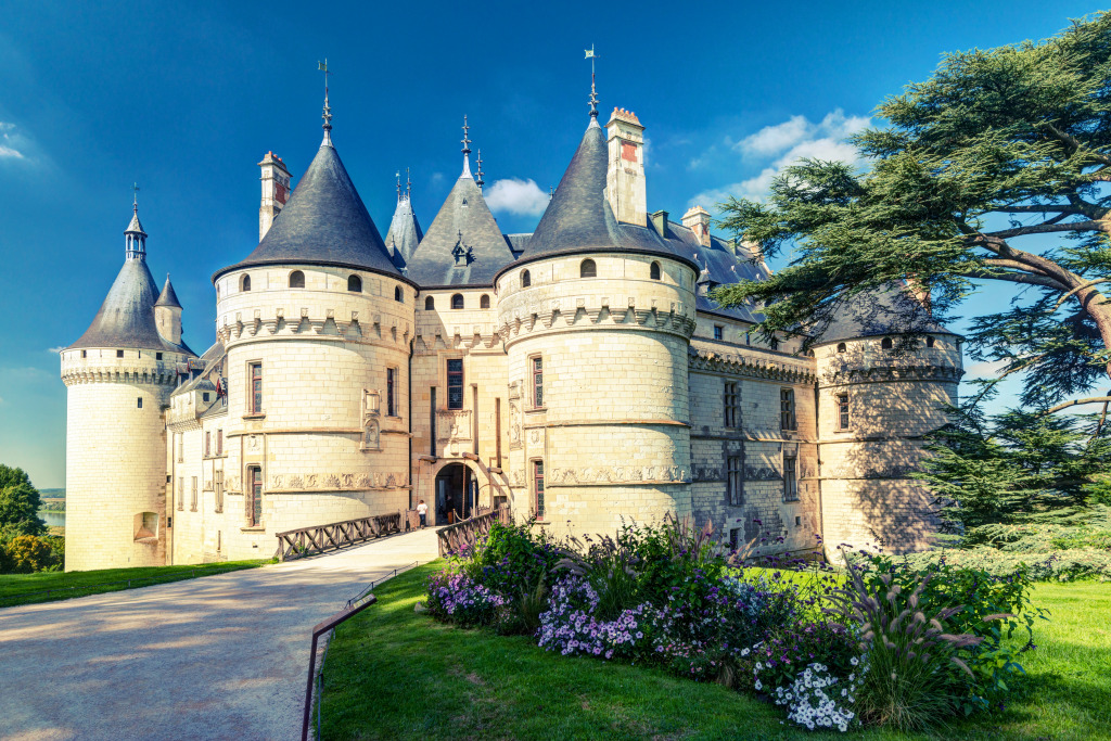 Castelo de Chaumont-sur-Loire, França jigsaw puzzle in Castelos puzzles on TheJigsawPuzzles.com