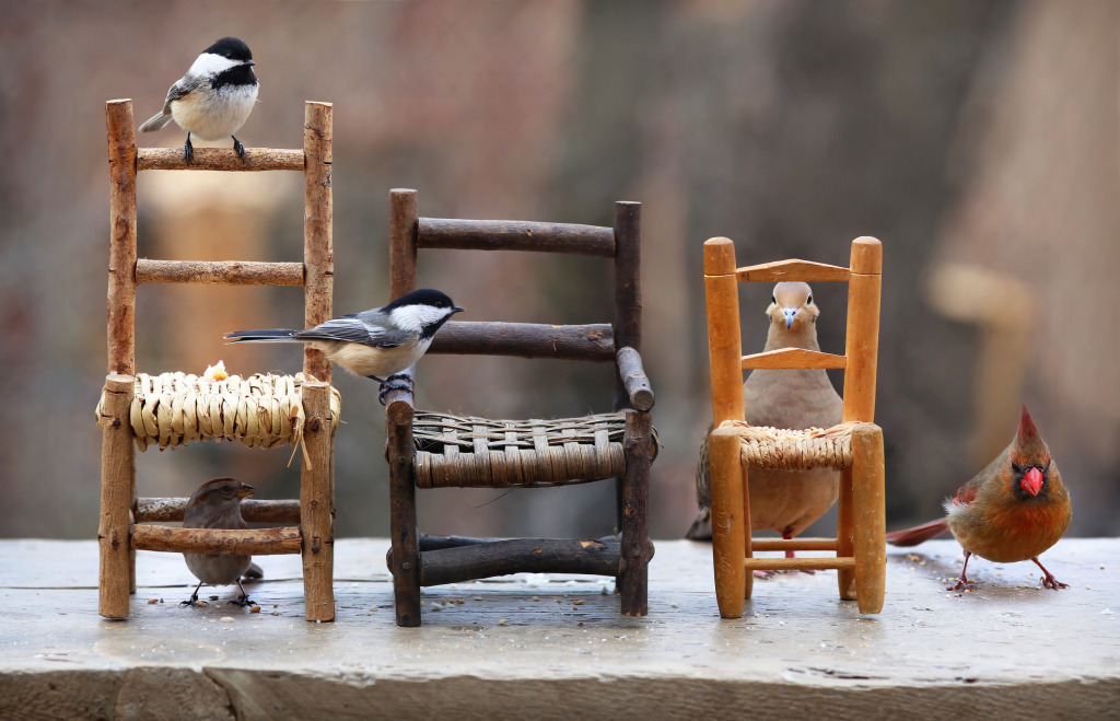 Birds and Rustic Chairs jigsaw puzzle in Animals puzzles on TheJigsawPuzzles.com