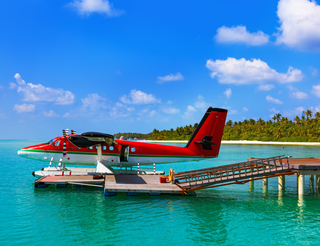 Wasserflugzeug auf den Malediven jigsaw puzzle in Luftfahrt puzzles on TheJigsawPuzzles.com