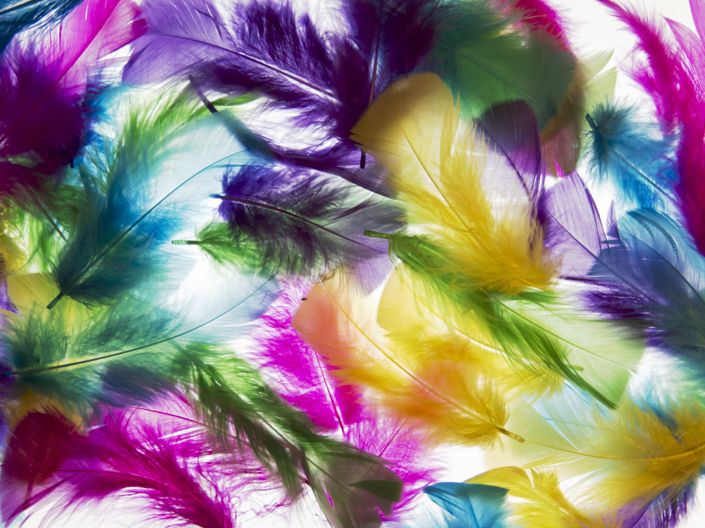Colored Feathers jigsaw puzzle in Puzzle of the Day puzzles on TheJigsawPuzzles.com