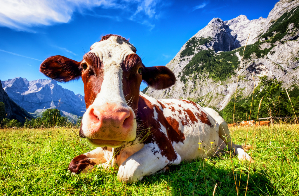 A Cow in the Austrian Mountains jigsaw puzzle in Animals puzzles on TheJigsawPuzzles.com