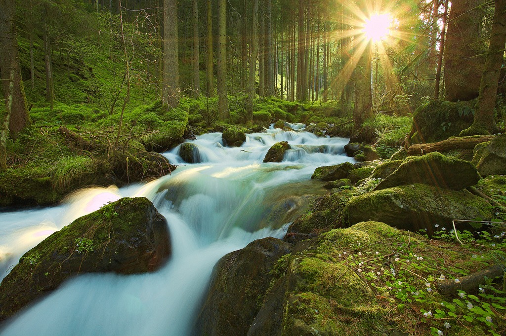 Stream of Light, Stream of Water jigsaw puzzle in Magnifiques vues puzzles on TheJigsawPuzzles.com