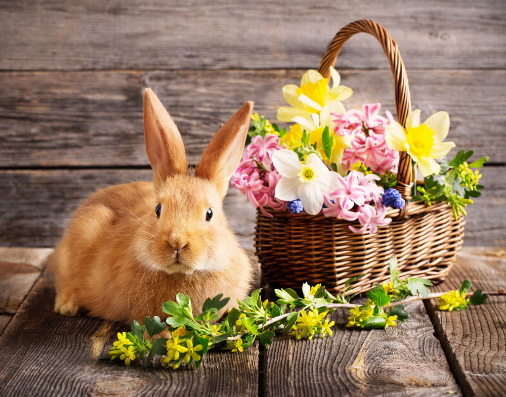 Little Rabbit with Spring Flowers jigsaw puzzle in Flowers puzzles on TheJigsawPuzzles.com