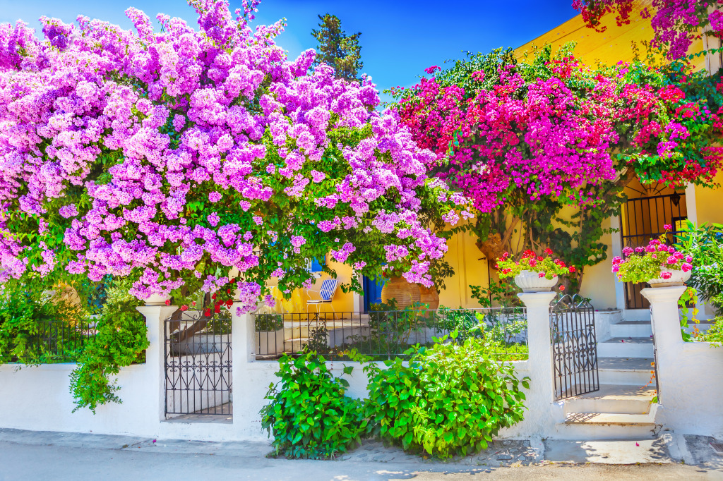Greek House with Bougainvillea jigsaw puzzle in Flowers puzzles on TheJigsawPuzzles.com