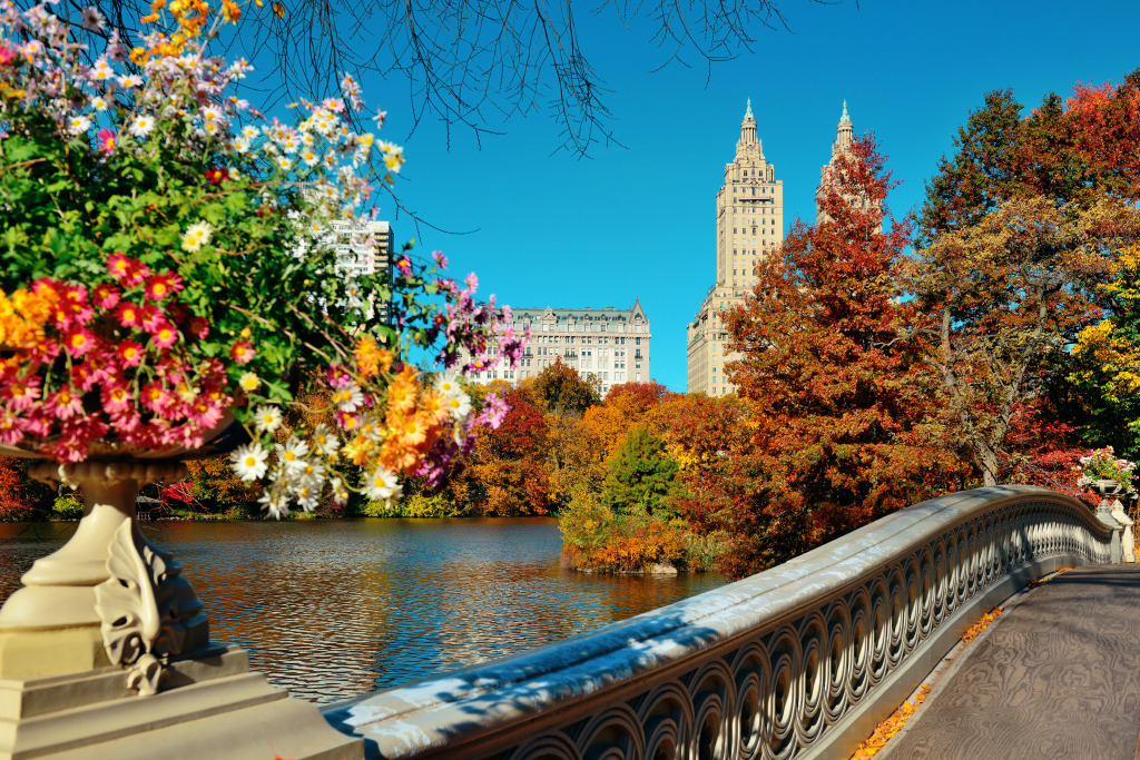 Autumn in the Central Park jigsaw puzzle in Bridges puzzles on TheJigsawPuzzles.com