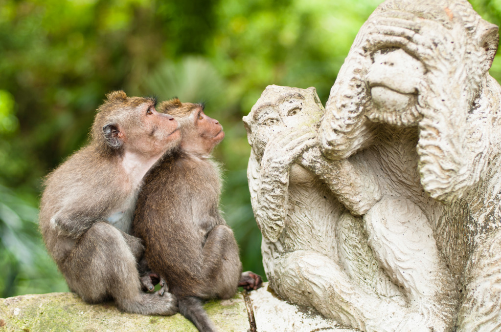 Sacred Monkey Forest, Ubud, Indonesia jigsaw puzzle in Animals puzzles on TheJigsawPuzzles.com