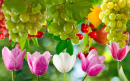 Tulips and Grapes