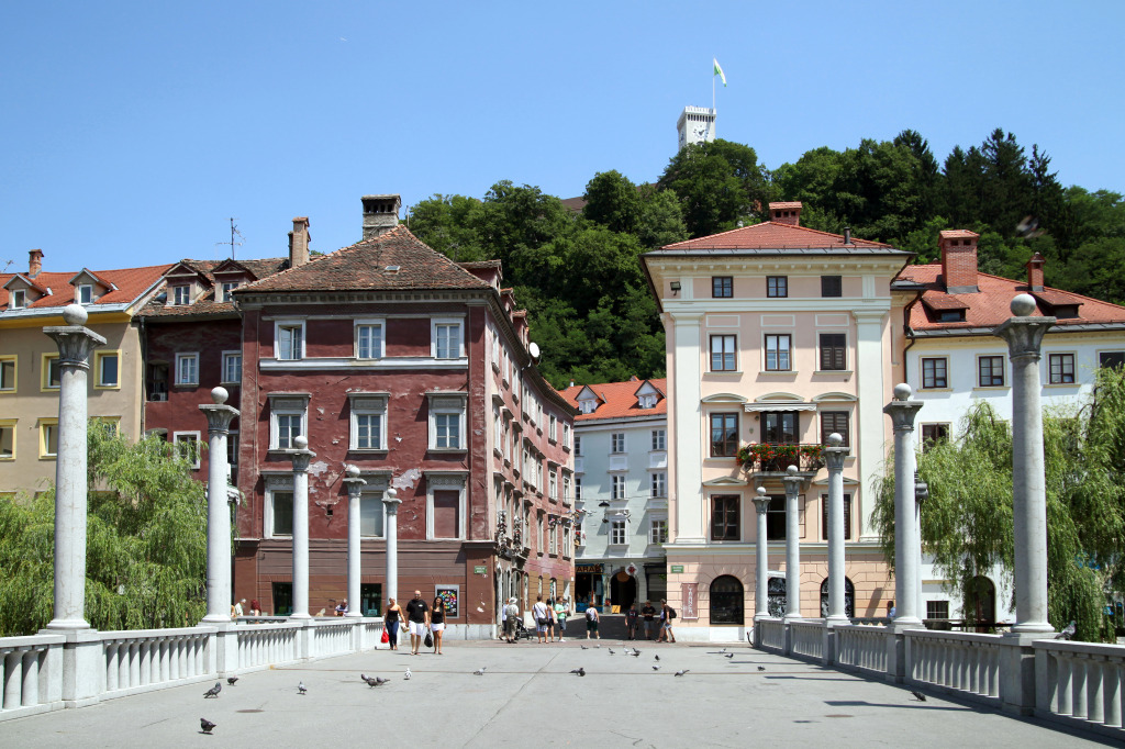 Le pont des cordonniers, Ljubljana, Slovénie jigsaw puzzle in Ponts puzzles on TheJigsawPuzzles.com