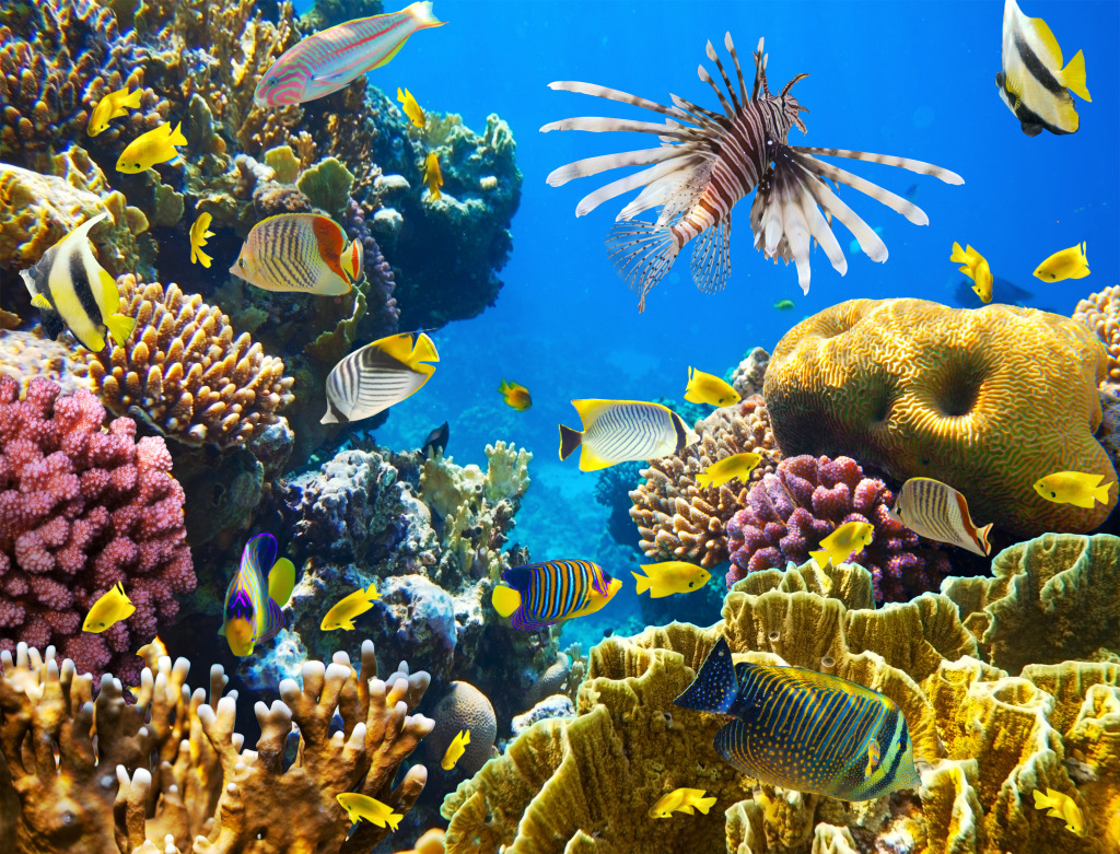 Тропические рыбы на коралловом рифе jigsaw puzzle in Подводный мир puzzles on TheJigsawPuzzles.com