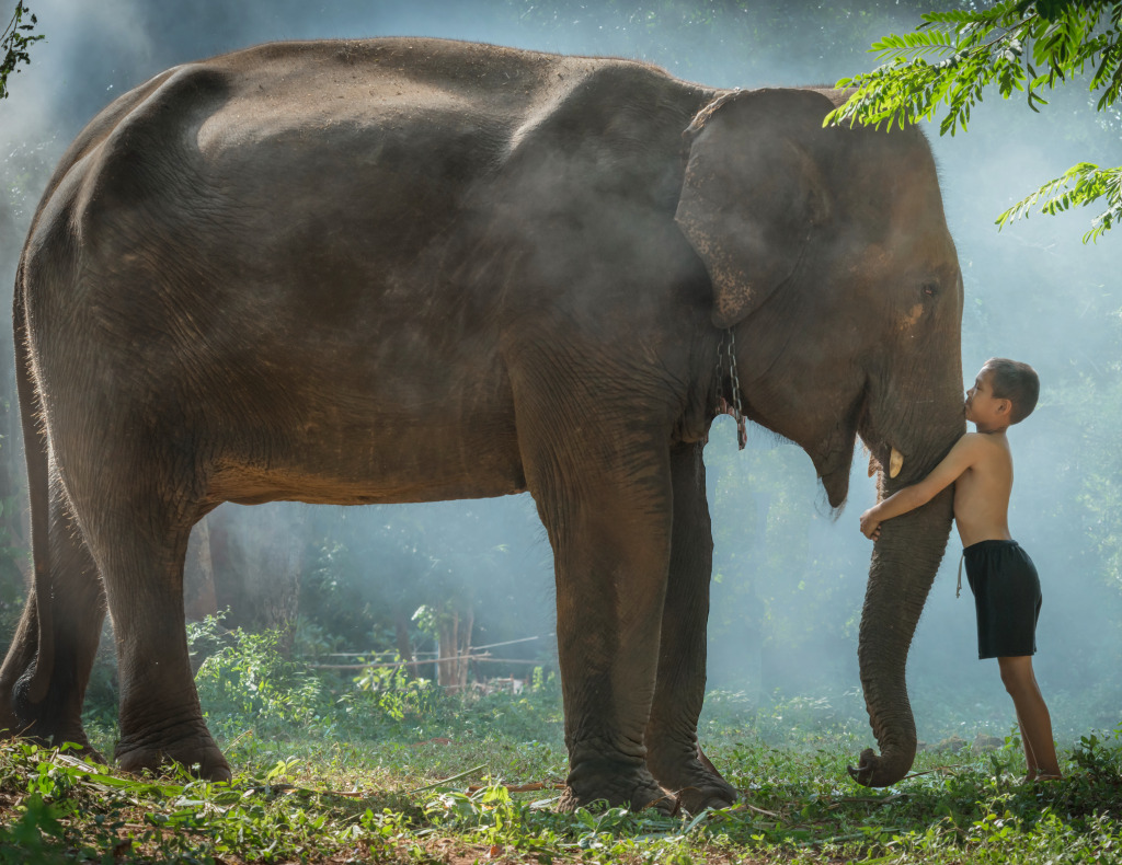 Thai Boy with His Elephant jigsaw puzzle in Animals puzzles on TheJigsawPuzzles.com