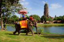 Elephant in Ayutthaya, Thailand