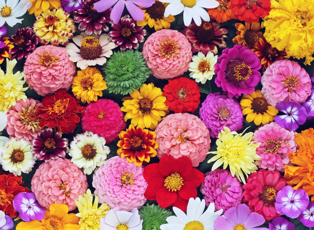Garden Flowers jigsaw puzzle in Flowers puzzles on TheJigsawPuzzles.com