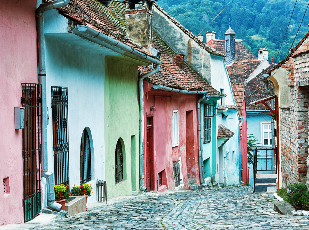 Sighisoara, Roumanie jigsaw puzzle in Paysages urbains puzzles on TheJigsawPuzzles.com