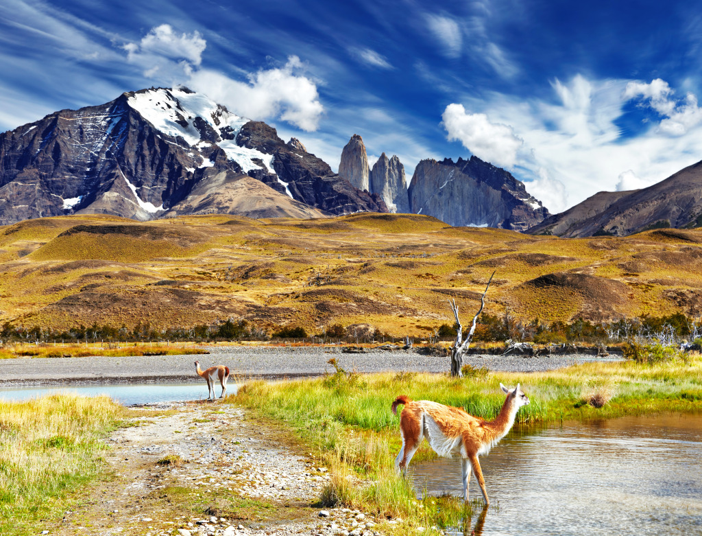 Nationalpark Torres del Paine, Chile jigsaw puzzle in Großartige Landschaften puzzles on TheJigsawPuzzles.com