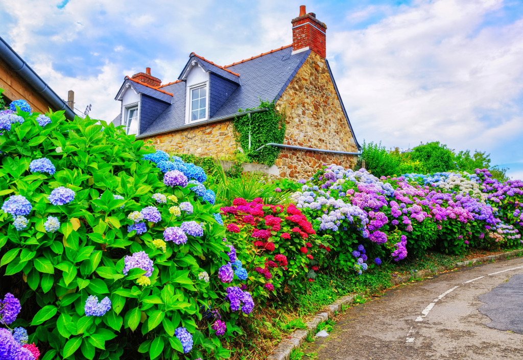 Hydrangeas in a Small French Village jigsaw puzzle in Flowers puzzles on TheJigsawPuzzles.com