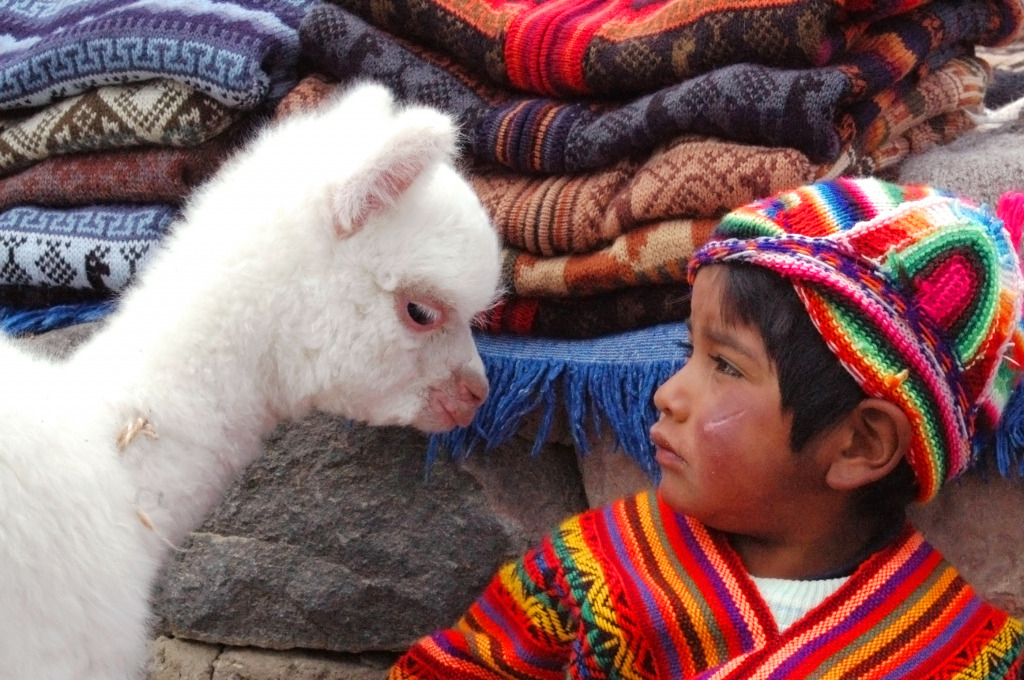 Un garçon et un jeune lama, Arequipa, Pérou jigsaw puzzle in Personnes puzzles on TheJigsawPuzzles.com