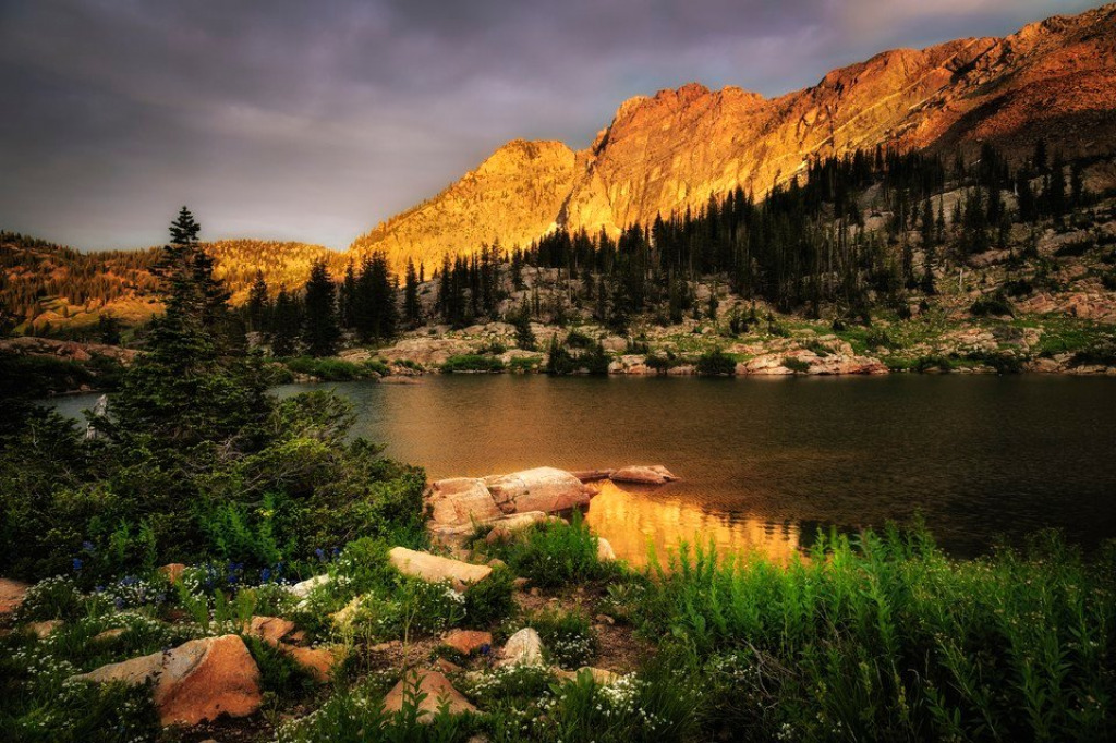 mountain river jigsaw puzzle in BARBARA J HITE puzzles on TheJigsawPuzzles.com