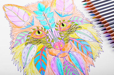 Coloring jigsaw puzzle in Macro puzzles on TheJigsawPuzzles.com