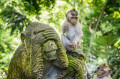 Sacred Monkey Forest of Ubud, Bali