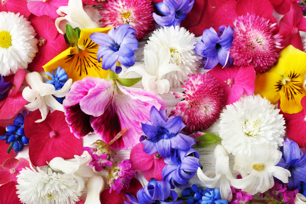 Colorful Spring Flowers jigsaw puzzle in Flowers puzzles on TheJigsawPuzzles.com