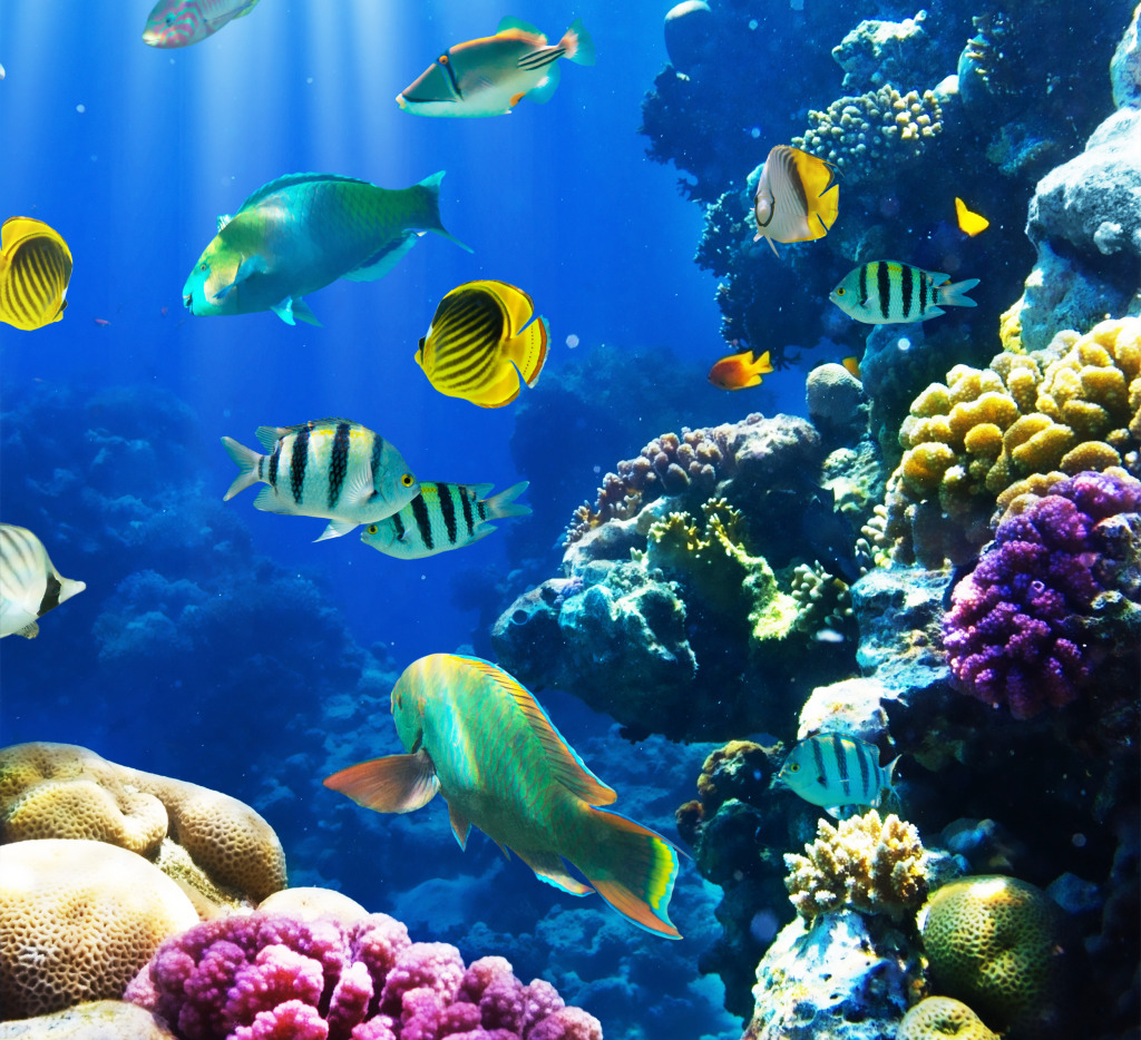 Tropical Fish on a Coral Reef jigsaw puzzle in Under the Sea puzzles on TheJigsawPuzzles.com