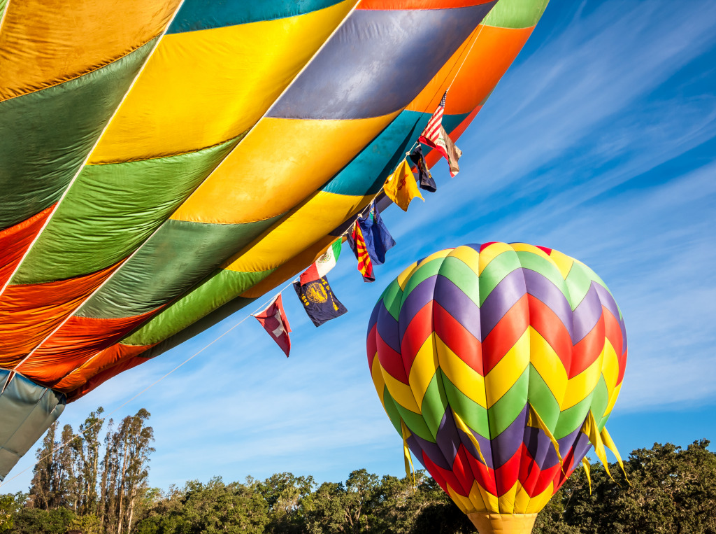 Sonoma County Hot Air Balloon Classic jigsaw puzzle in Aviation puzzles on TheJigsawPuzzles.com