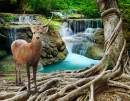 Sambar Deer beside Banyan Tree