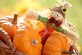 Scarecrow and Pumpkins