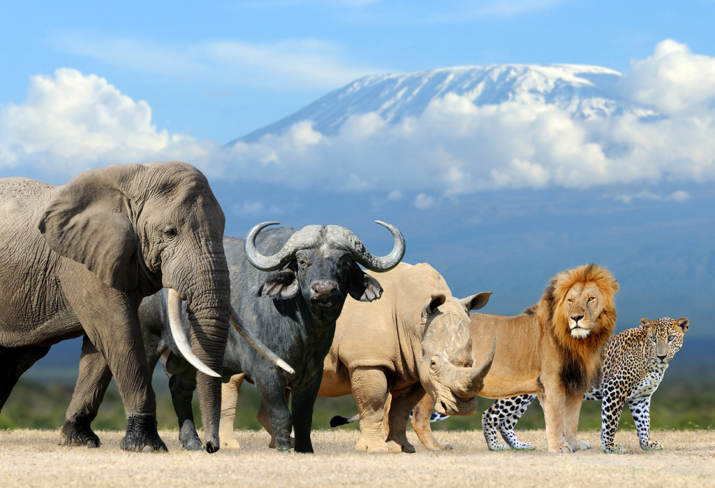 Die Große Fünf Afrikas jigsaw puzzle in Tiere puzzles on TheJigsawPuzzles.com