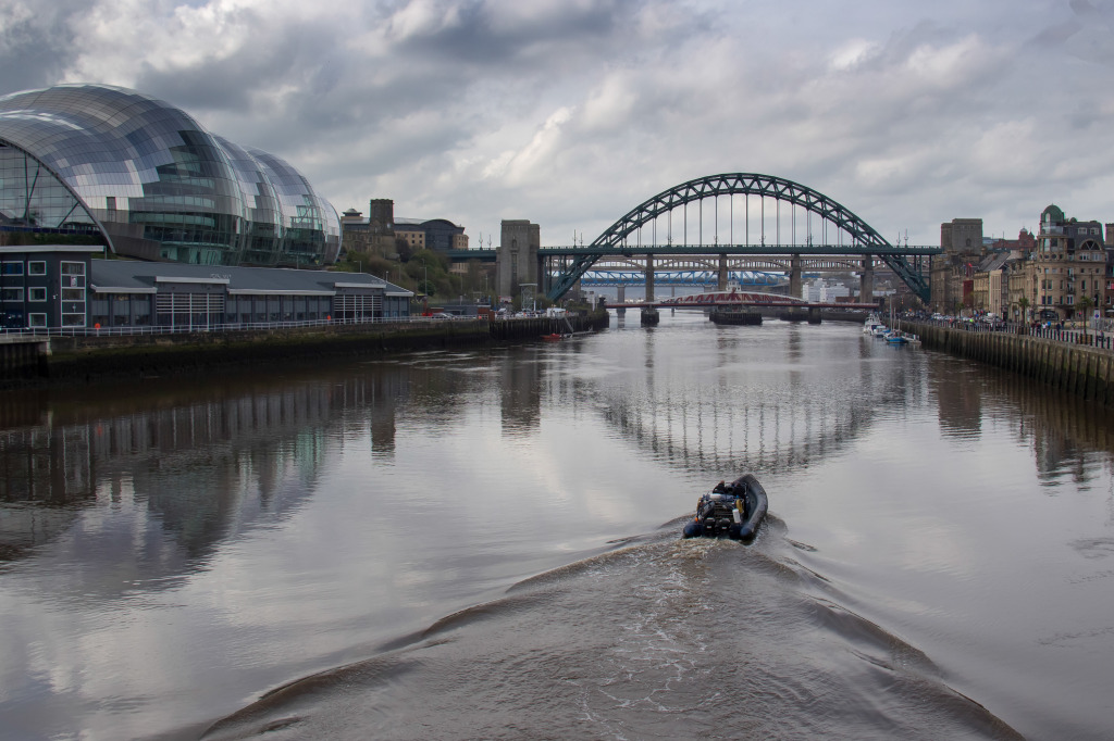 Tyne Bridges and The Sage jigsaw puzzle in Derek Corner puzzles on TheJigsawPuzzles.com