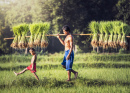 Thai Rice Farmer with Son