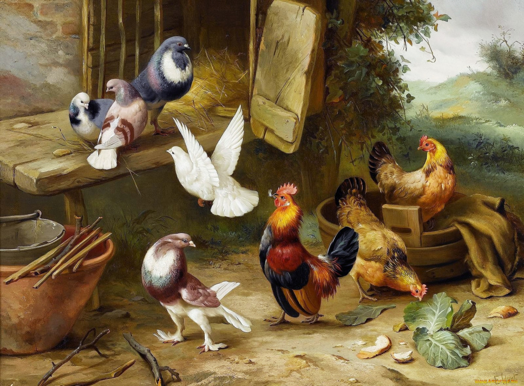 Chickens, a Dove and Pigeons in a Farmyard jigsaw puzzle in Piece of Art puzzles on TheJigsawPuzzles.com