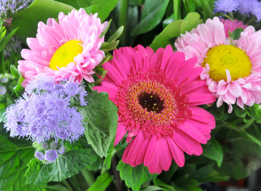 Gerbera jigsaw puzzle in Flowers puzzles on TheJigsawPuzzles.com