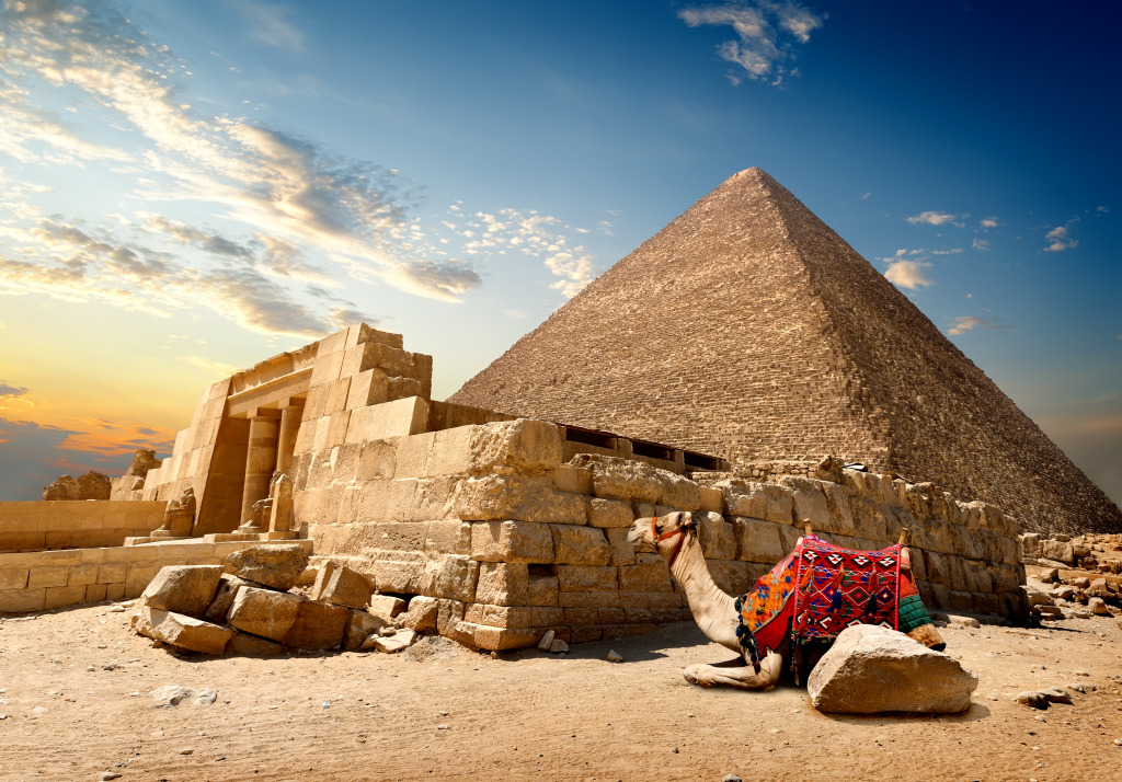 Un chameau se repose près d'une pyramide jigsaw puzzle in Animaux puzzles on TheJigsawPuzzles.com