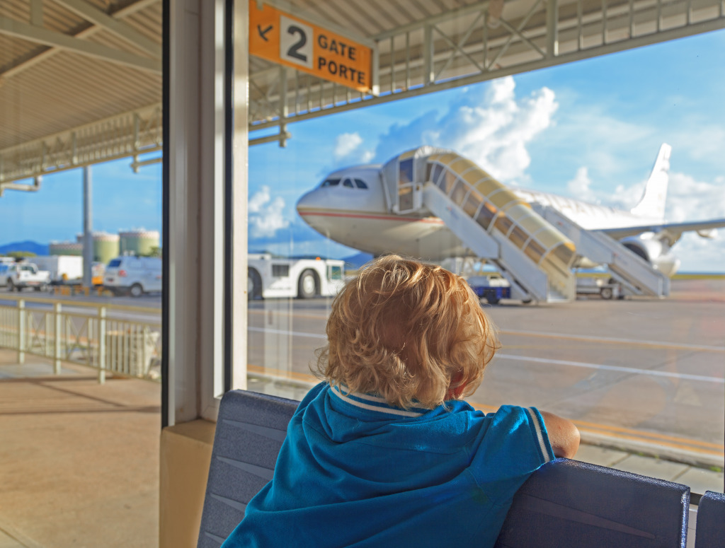 A l'aéroport jigsaw puzzle in Aviation puzzles on TheJigsawPuzzles.com