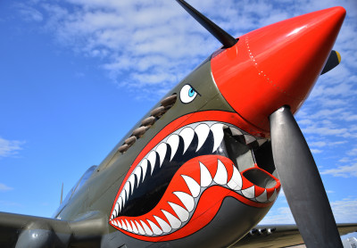 Curtiss P-40 Kittyhawk jigsaw puzzle in Aviation puzzles on ...