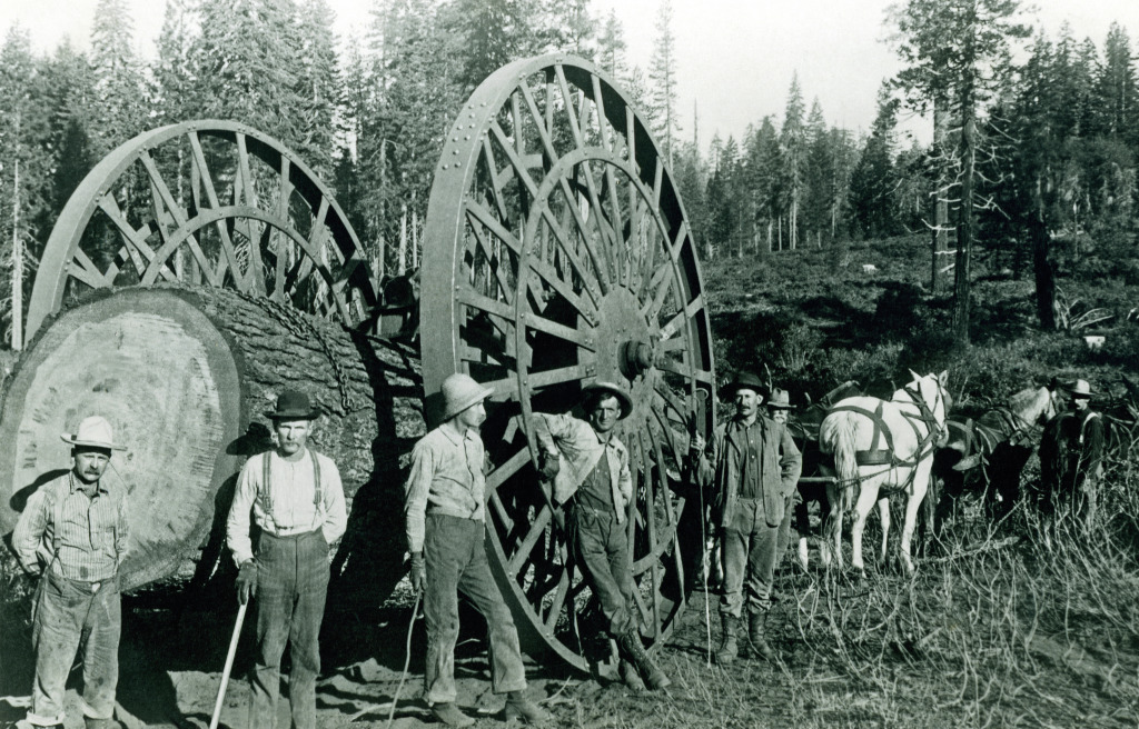 1895 - Occupation de Lumberjacks en California jigsaw puzzle in Personnes puzzles on TheJigsawPuzzles.com
