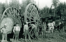 1895 - Occupational Lumberjacks in California
