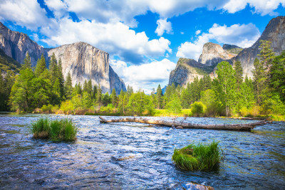 Yosemite National Park jigsaw puzzle in Great Sightings puzzles on ...